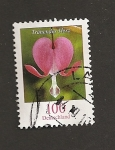 Stamps Germany -  Flor Lamprocapnos spectabilis
