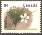 Stamps : America : Canada :  CIRUELO