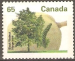 Stamps Canada -  NUEZ  DE  NOGAL