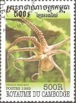 Stamps Cambodia -  VIDA  MARINA.  OCTOPUS  MACROPUS.