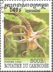 Sellos de Asia - Camboya -  VIDA  MARINA.  OCTOPUS  MACROPUS.