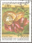 Stamps Cambodia -  VIDA  MARINA.  HELIX  ORTENSIS.
