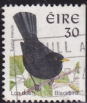 Stamps : Europe : Ireland :  Ave negra