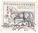 Stamps Czechoslovakia -  EXPOSICIÓN NACIONAL DE CABALLOS