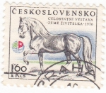 Sellos de Europa - Checoslovaquia -  EXPOSICIÓN NACIONAL DE CABALLOS