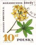 Sellos de Europa - Polonia -  FLOR- AZALEA PONTICA