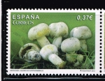 Stamps Spain -  Edifil  4822  Micología.  
