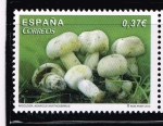 Stamps Spain -  Edifil  4822  Micología.  