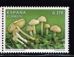 Stamps Spain -  Edifil  4824  Micología.  