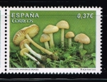 Stamps Europe - Spain -  Edifil  4824  Micología.  