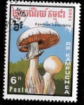 Stamps Cambodia -  AGARICUS CAMPESTRIS