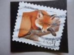 Stamps United States -  Red Fox - Zorro Rojo.