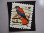 Stamps United States -  USA  - Kestrel