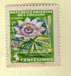 Sellos del Mundo : America : Uruguay : Scott 608. Flor pasión.