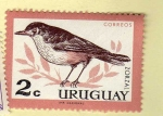 Sellos de America - Uruguay -  Scott 695. Zorzal.