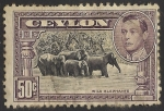 Stamps : Asia : Sri_Lanka :  ELEFANTES SALVAJES.