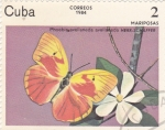 Sellos de America - Cuba -  Mariposas