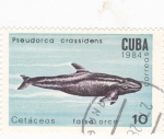 Stamps Cuba -  Cetáceos- falsa orca