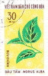 Stamps Vietnam -  Flores y plantas- morus alba