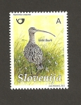 Stamps Slovenia -  Zarapito euro-asiático