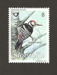 Sellos de Europa - Eslovenia -  Pájaro carpintero