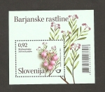 Stamps Slovenia -  Flor Andromeda polifolia