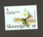 Stamps Slovenia -  Planta Drosera rotundifolia