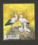 Stamps Europe - Slovenia -  Cigüeñas
