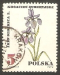 Stamps Poland -  1629 - Planta iris  siberica