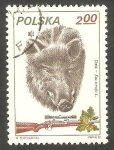 Stamps : Europe : Poland :  2562 - Animal de caza, cabeza de jabalí