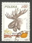 Stamps Poland -  2563 - Animal de caza, cabeza de alce