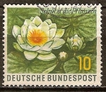 Stamps Germany -  Día de la Protección de la Naturaleza. Lirio de agua.