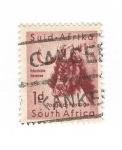 Stamps South Africa -  Sudáfrica