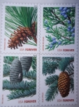 Stamps United States -  Árboles de hojas perenne - Forever (Tasa de primara clase para siempre)