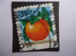 Stamps United States -  Naránja