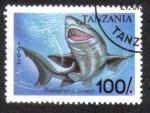 Stamps Tanzania -  Pristiophorus Cirratus