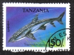 Stamps Tanzania -  Triaenodon Obesus