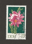 Stamps Germany -  Flor Epiphyllum
