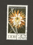 Sellos de Europa - Alemania -  Flor Selenenicerus grandiflorus