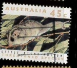 Stamps Australia -  ZARIGÜEYA