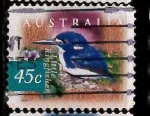 Stamps Australia -  PEQUEÑO MARTIN PESCADOR