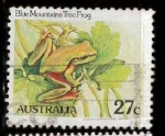 Stamps Australia -  RANA ARBOREA