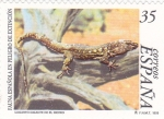 Stamps Spain -  FAUNA ESPAÑOLA EN PELIGRO DE EXTINCIÓN-LAGARTO GIGANTE DE EL HIERRO (11)