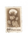 Stamps India -  Planta algodón