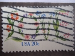 Sellos de America - Estados Unidos -  Flore - USA