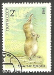 Sellos de Europa - Rusia -  5240 - Una musaraña