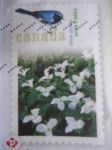 Stamps : America : Canada :  Shade Garden (Jardín de Sombra)-Sello Imprimido en el Sobre-Franqueo para siempre)