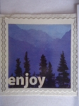 Stamps United States -  Enjoy (Disfrutar) -Forever