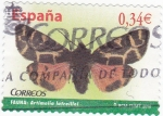 Stamps Spain -  FAUNA-ARTIMELIA LATREILLEI (11)