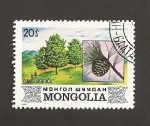 Stamps Mongolia -  Pino siberiano